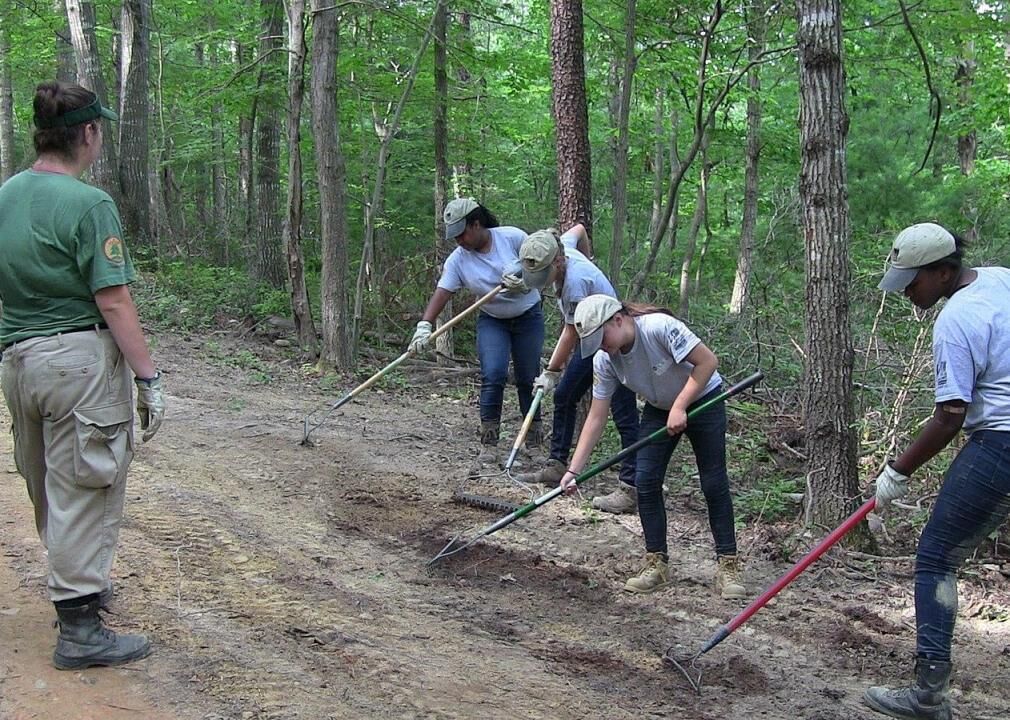 #77. Forest and Conservation Workers